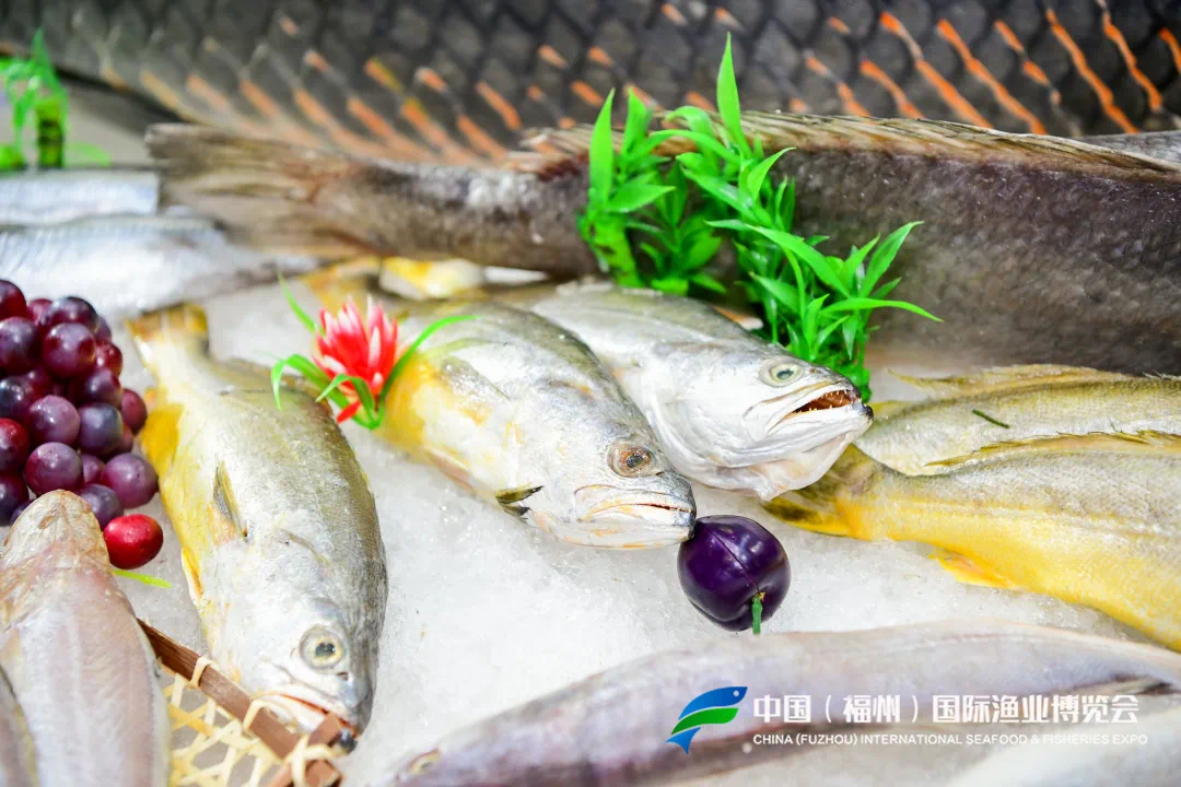 抢占2021上半年渔业市场，福州渔博会诚邀您参展参观！