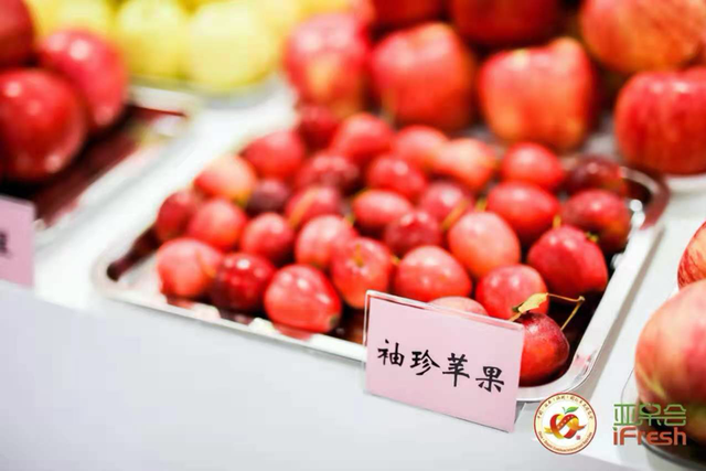 洛川苹果中国红！第十四届中国陕西(洛川)国际苹果博览会将于9月26日-28日举办