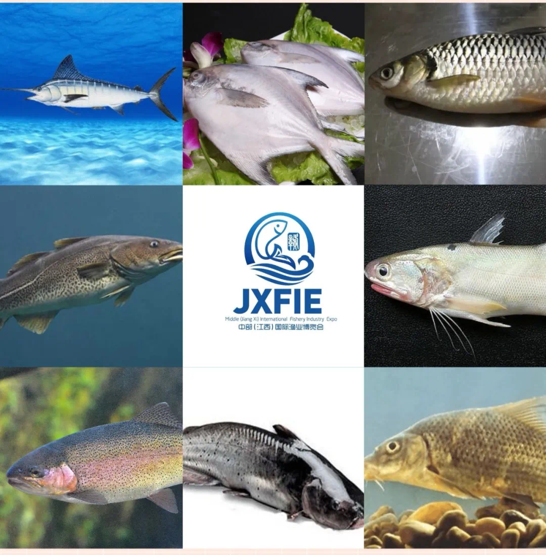 【展讯】2021中部（江西）国际渔业博览会暨水产养殖产业展览会