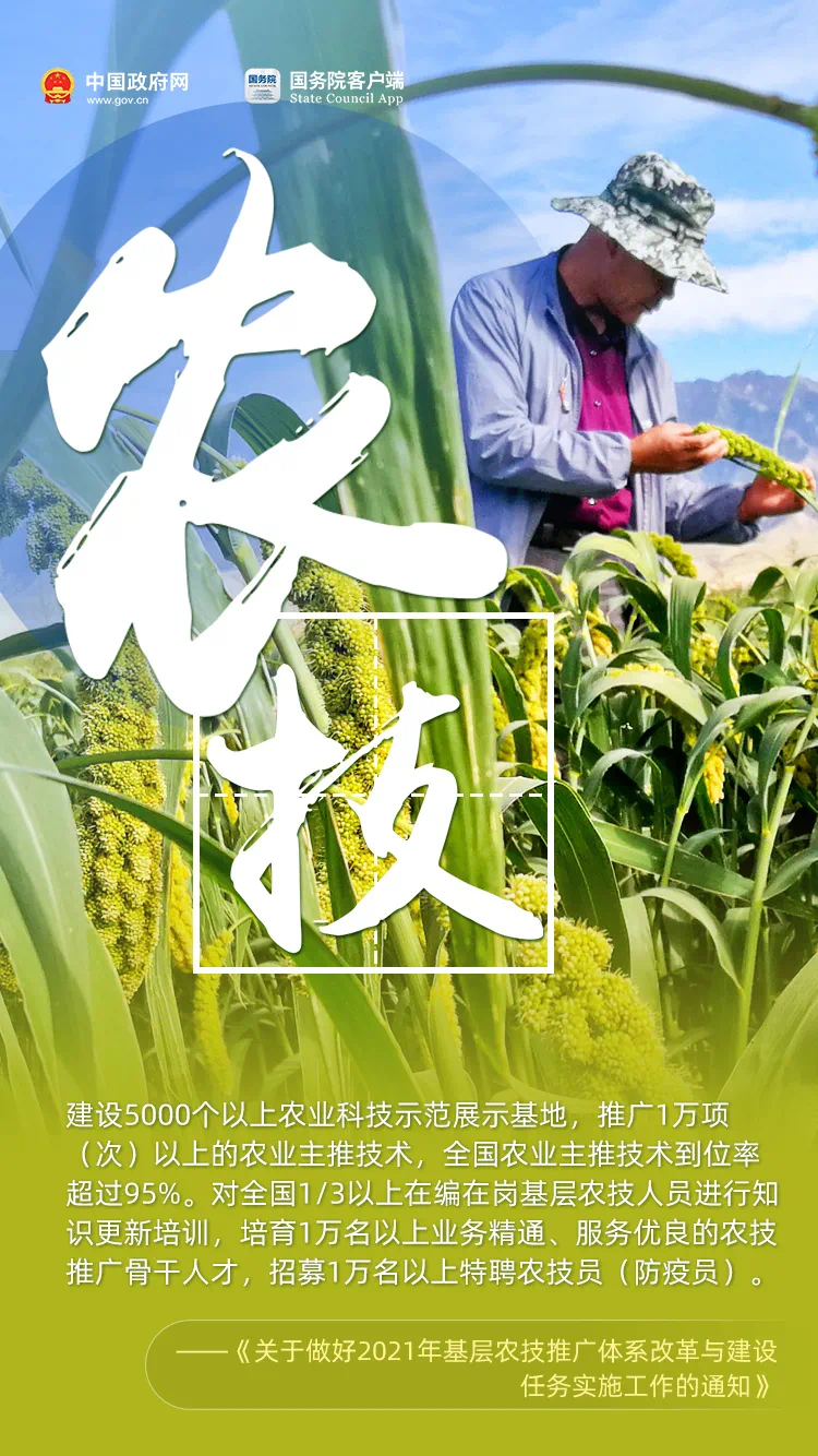 丰收节 | 农民朋友们！过节了！