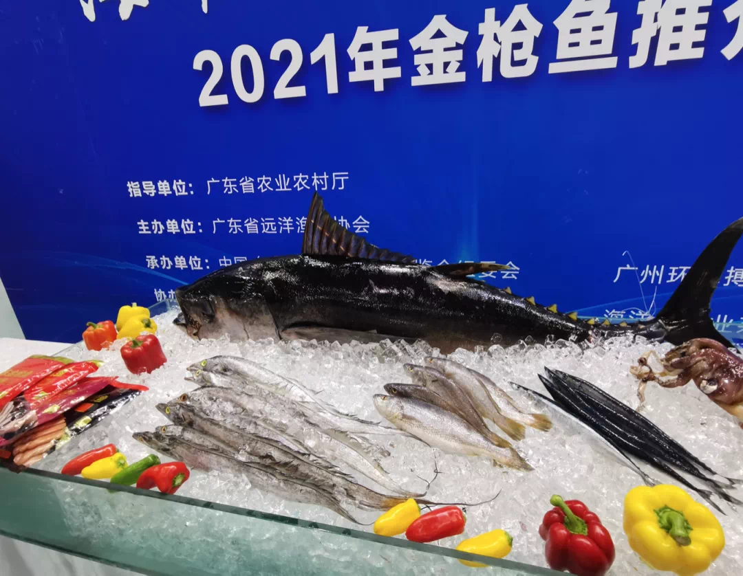 广州电视台报道|广州渔博会开幕 “海鲜控”有口福啦！