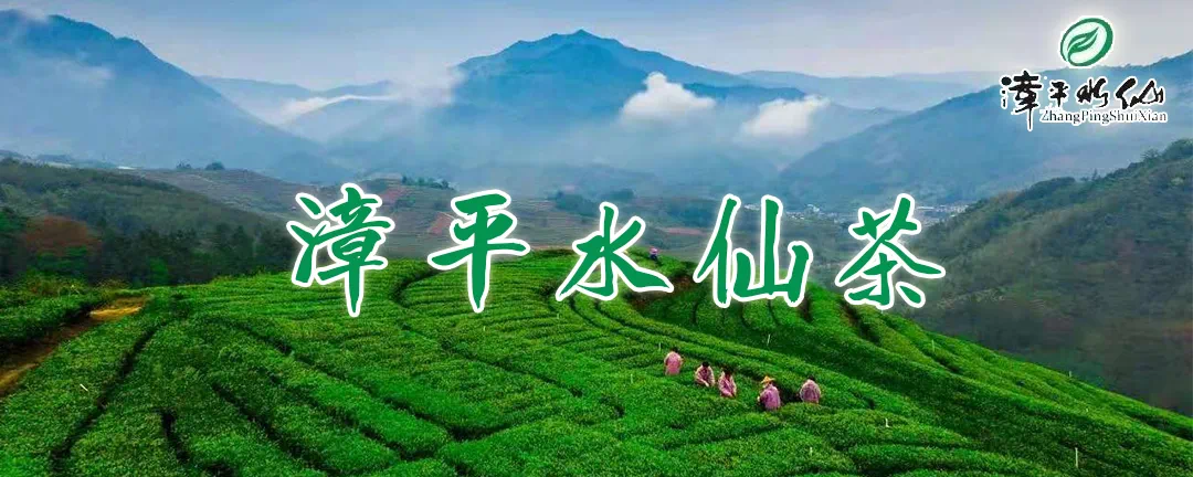 入场搭建！中国厦门茶业投资贸易博览会参展团组先睹为快!