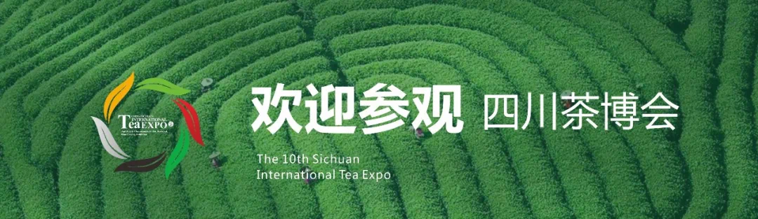 “线上茶博会”闭幕在即！最后一波春茶等你“薅羊毛”！