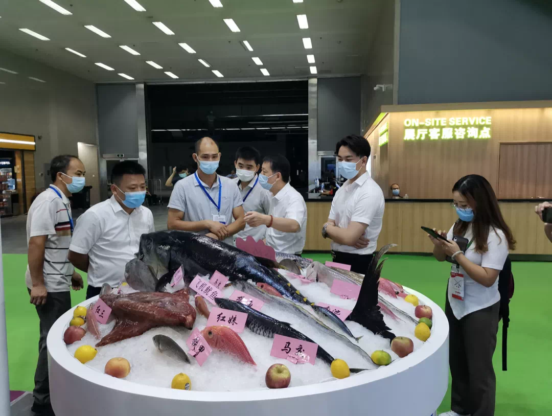 广州电视台报道|广州渔博会开幕 “海鲜控”有口福啦！