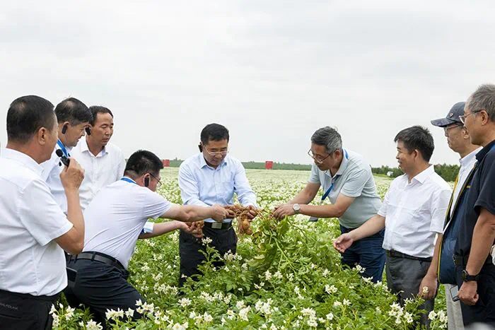 全国粮食绿色高质高效行动工作推进会在陕西榆林召开