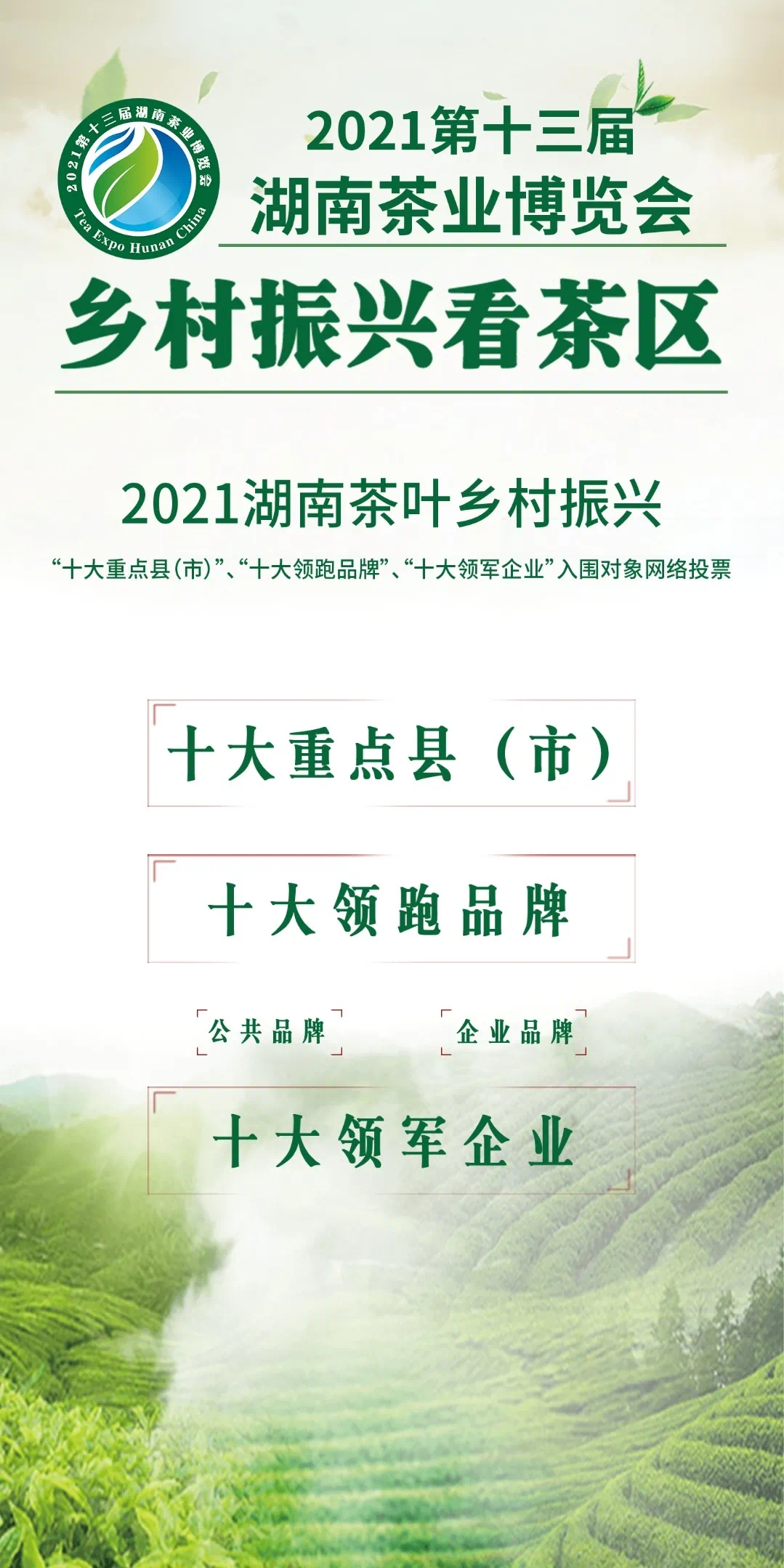 正式开启|2021湖南“茶三十”入围对象网络投票	