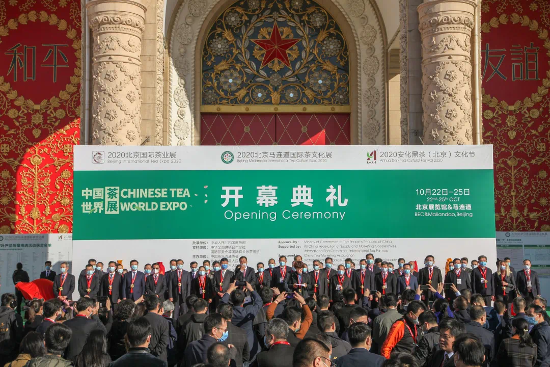 十周年|北京国际茶业展十年成长记